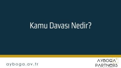 Kamu Davası Nedir?