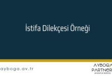 İstifa Dilekçesi Örneği