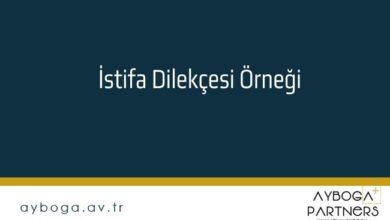 İstifa Dilekçesi Örneği