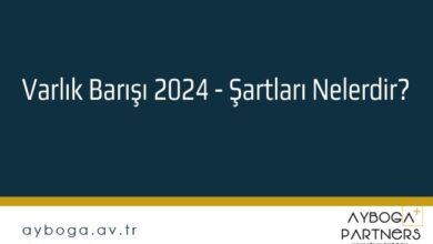 Varlık Barışı 2024 - Şartları Nelerdir?