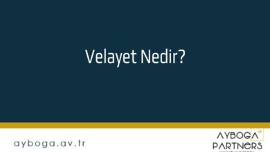 Velayet Nedir?