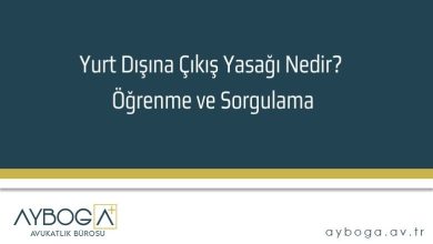 Yurt Dışına Çıkış Yasağı Nedir? Öğrenme ve Sorgulama
