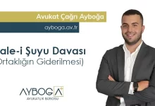 İzale-İ Şuyu (Ortaklığın Giderilmesi) Davası - Güncel 2025