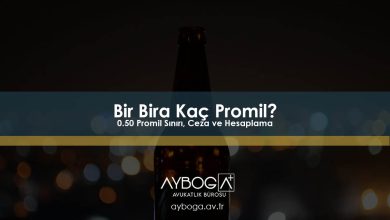 Bir Bira Kaç Promil? 0.50 Promil Sınırı, Ceza ve Hesaplama Rehberi