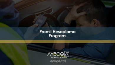Promil Hesaplama Programı 2026 : 1 Bira Kaç Promil, 1 Duble Rakı Kaç Promil?