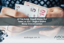 65 Yaş Aylığı, Engelli Maaşı, Dul Yetim ve SGK - Bağkur Emekli Maaşı 2026 Güncel Zamları
