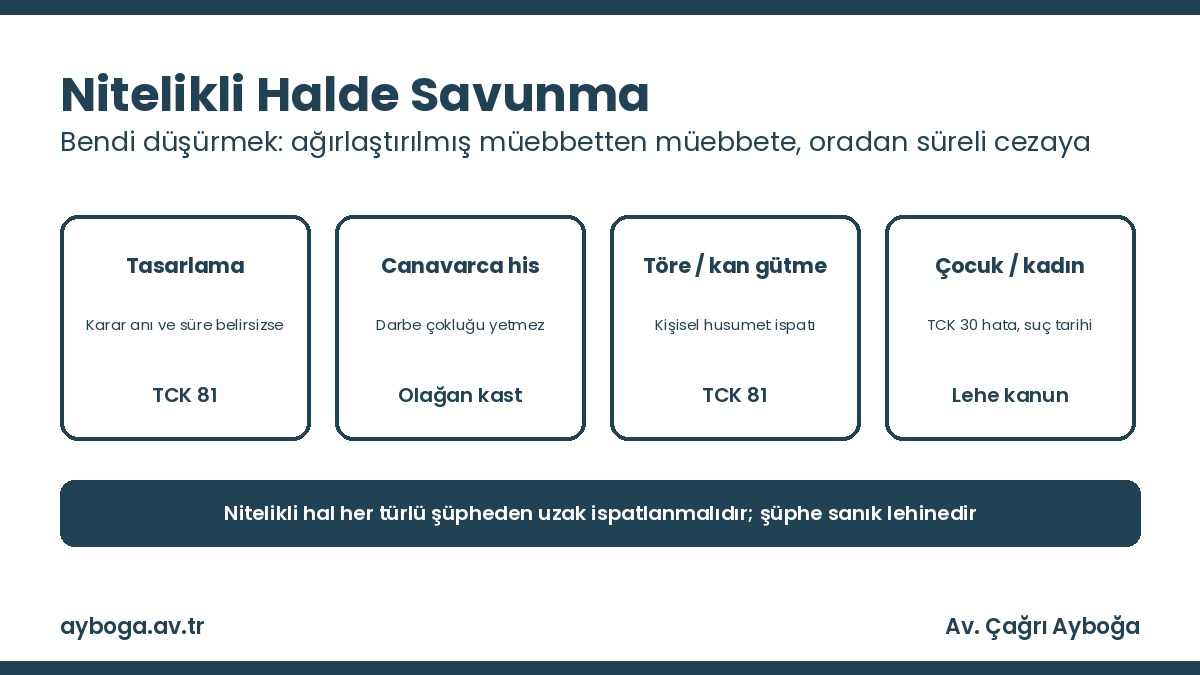 TCK 82 savunma stratejileri: tasarlama, canavarca his, töre ve kan gütme saikinin düşürülmesi