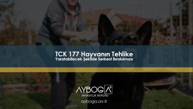 TCK 177 Hayvanın Tehlike Yaratabilecek Şekilde Serbest Bırakılması