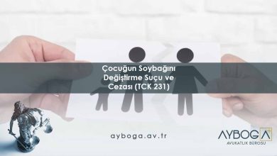 Çocuğun Soybağını Değiştirme Suçu ve Cezası (TCK 231)