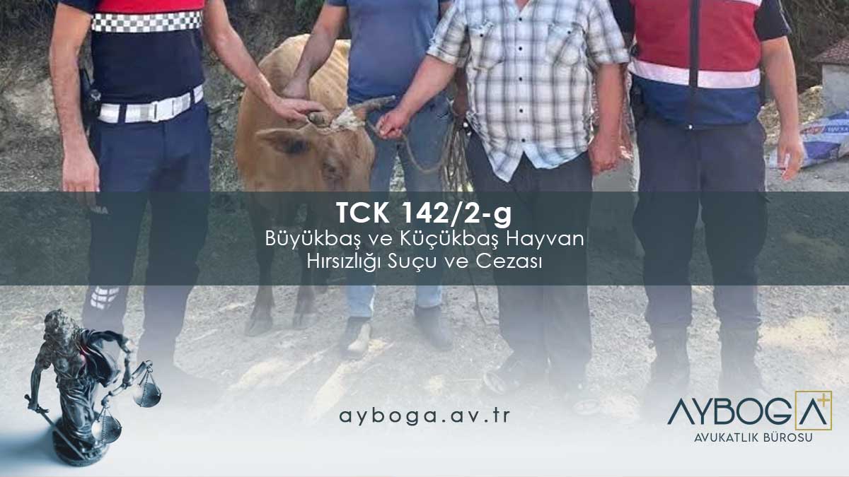 TCK 142/2-g Büyükbaş ve Küçükbaş Hayvan Hırsızlığı Suçu ve Cezası